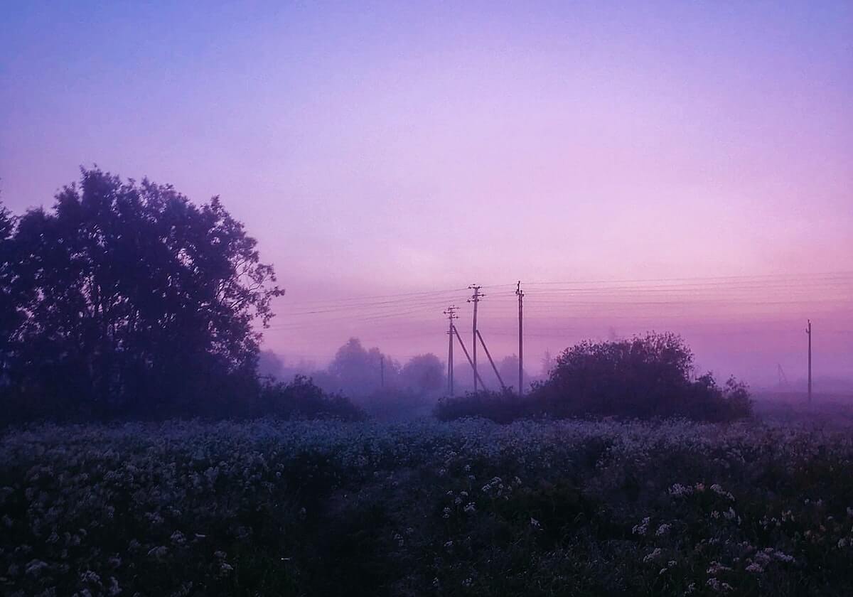 神马电影里的信息为什么显得很确定：关于复杂性压缩的用清单式讲